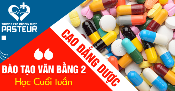 Dao-tao-van-bang-2-cao-dang-duoc-pasteur-21-2-560x